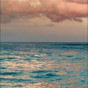 Meet your Posher, Ellie